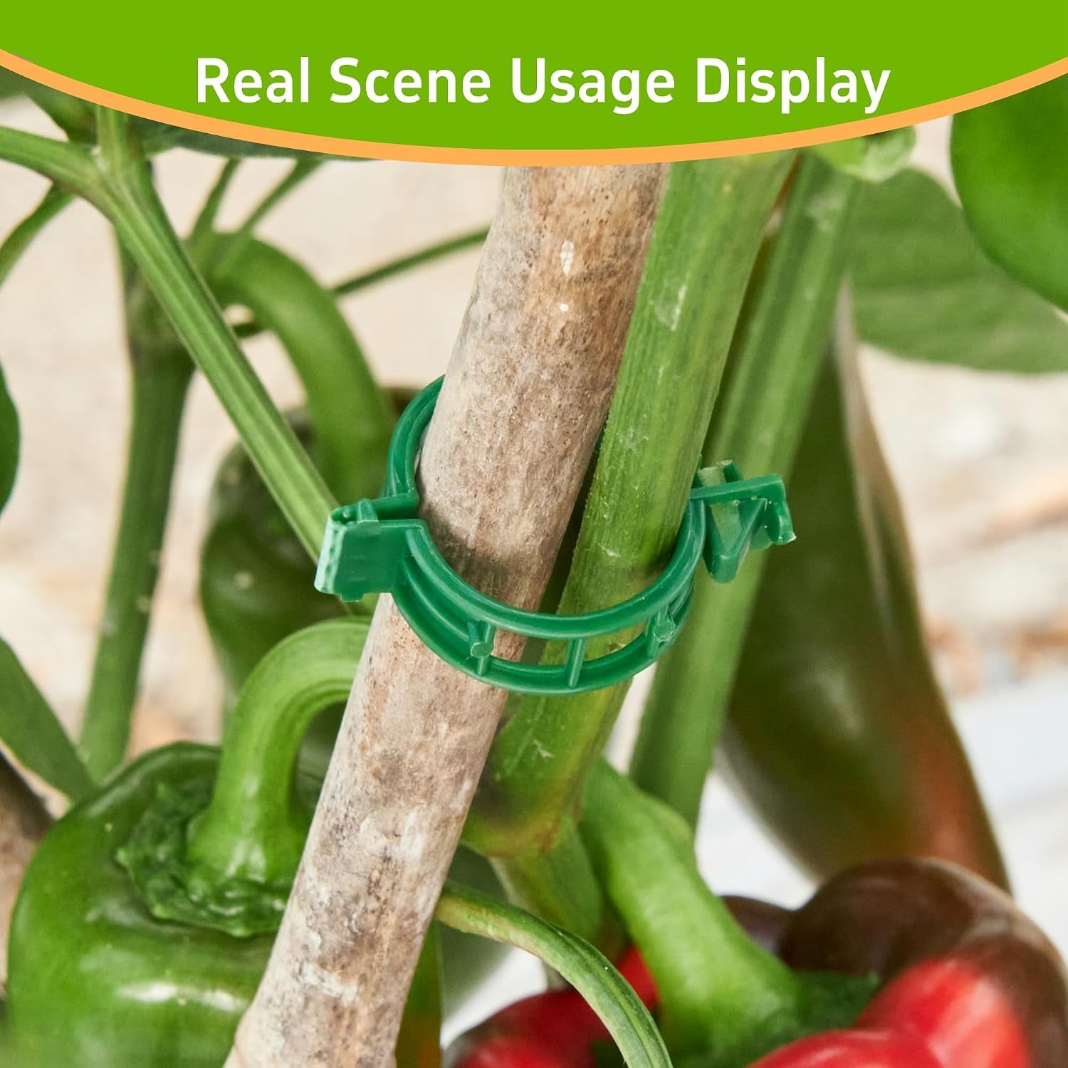Greenhaus Gardening Reusable Plant Support Clips for Tomatoes & Climbing Plants, 100 PCS