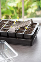 Greenhaus Gardening Transplant Tongs, Precision Seed Starting Garden Tool