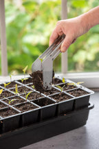 Greenhaus Gardening Transplant Tongs, Precision Seed Starting Garden Tool