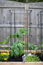 Greenhaus Gardening Heavy Duty Tomato Cage, Premium Steel Garden Support