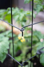 Greenhaus Gardening Heavy Duty Tomato Cage, Premium Steel Garden Support