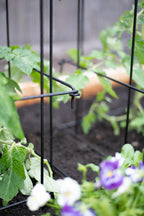 Greenhaus Gardening Heavy Duty Tomato Cage, Premium Steel Garden Support