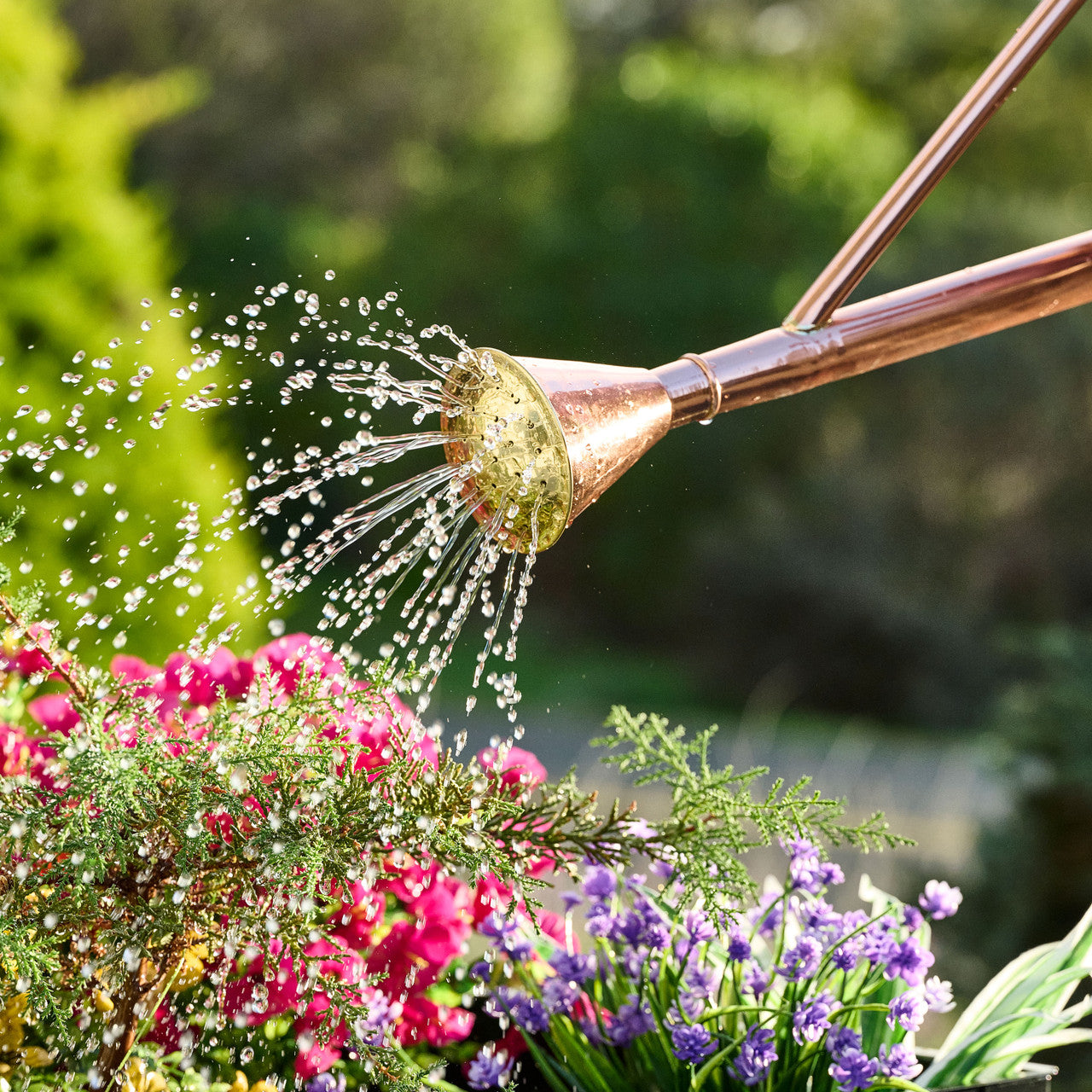 Greenhaus Gardening Copper Garden Waterer – Long Spout & Gentle Spray