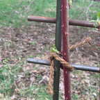 Greenhaus Gardening Interlocking Steel Garden Trellis