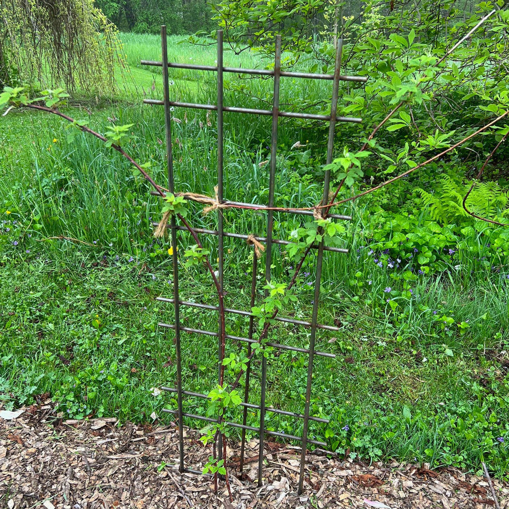 Greenhaus Gardening Interlocking Steel Garden Trellis