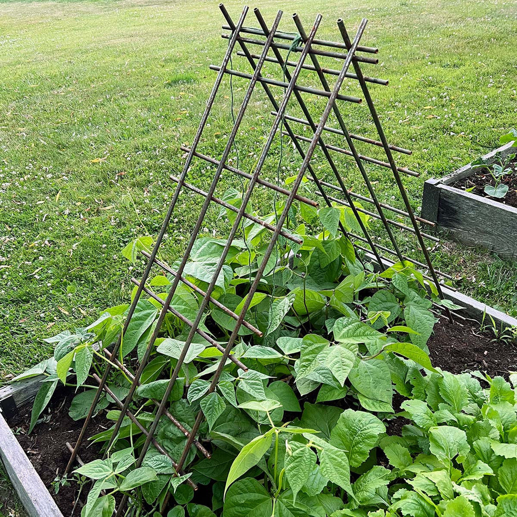 Greenhaus Gardening Interlocking Steel Garden Trellis