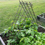 Greenhaus Gardening Interlocking Steel Garden Trellis