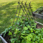 Greenhaus Gardening Interlocking Steel Garden Trellis