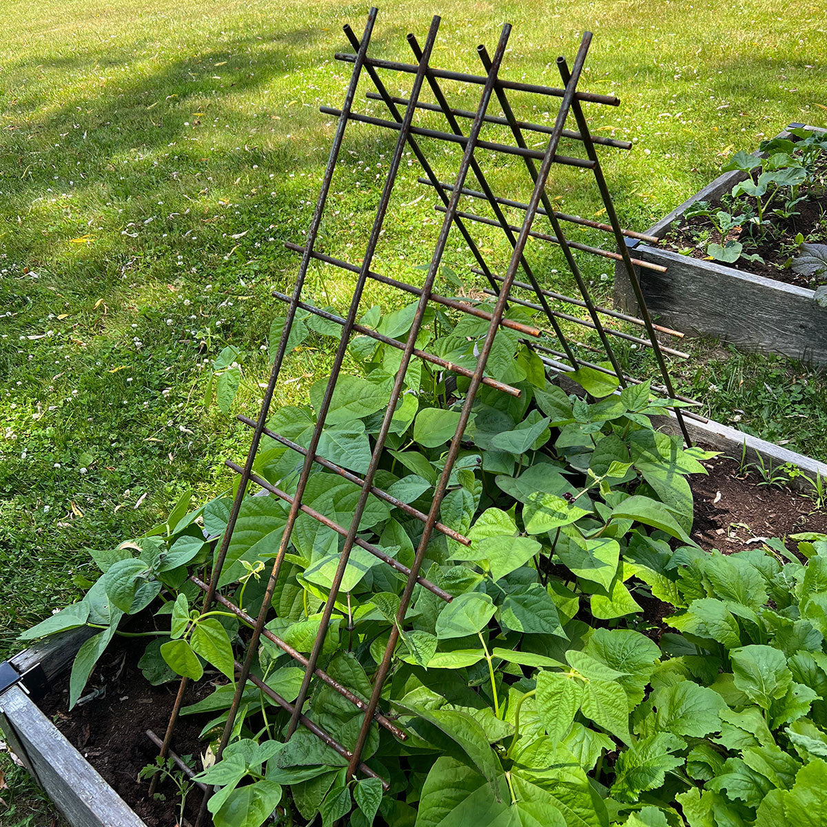 Greenhaus Gardening Interlocking Steel Garden Trellis