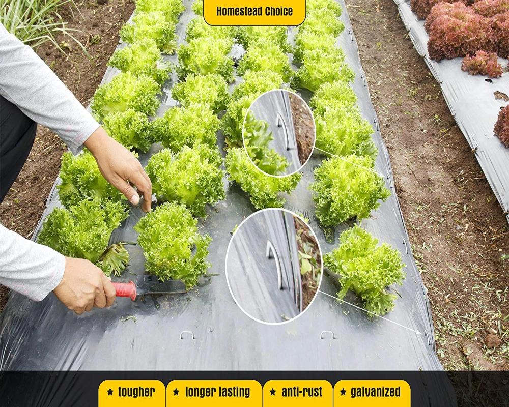 Greenhaus Gardening Galvanized Steel Landscape Sod Staples