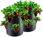 Greenhaus Gardening Strawberry Grow Bags with 8 Side Planting Pockets