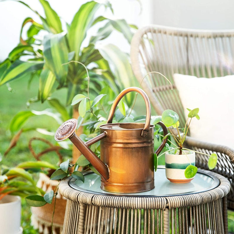 Greenhaus Gardening Decorative Metal Watering Can for Indoor Plants and Gardens