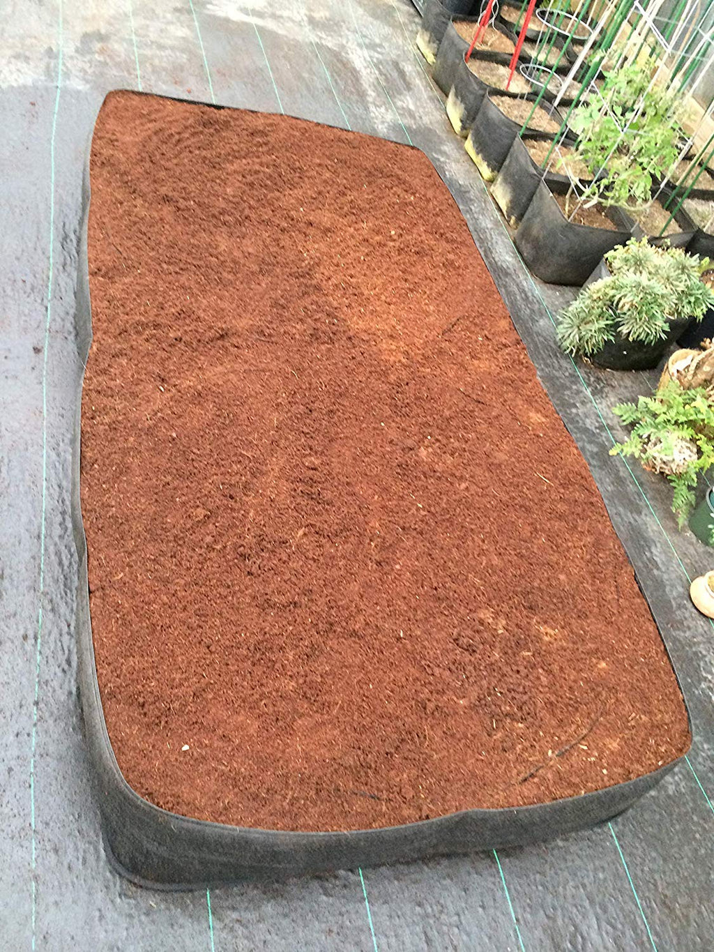 Greenhaus Gardening Breathable Fabric Raised Bed for Fruits Herbs and Plants
