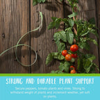 Greenhaus Gardening Adjustable Hook & Loop Plant Support Tape for Climbing Plants