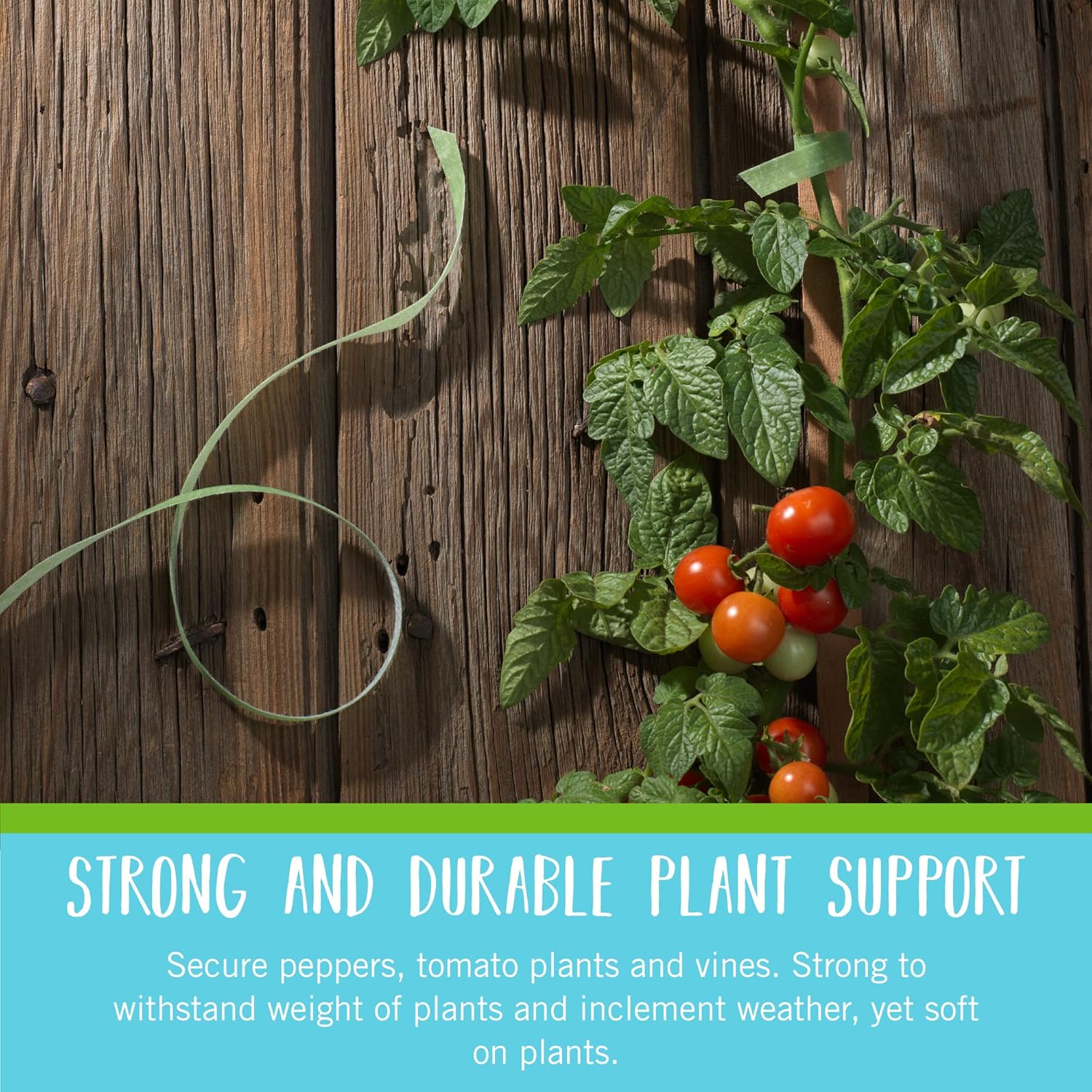 Greenhaus Gardening Adjustable Hook & Loop Plant Support Tape for Climbing Plants