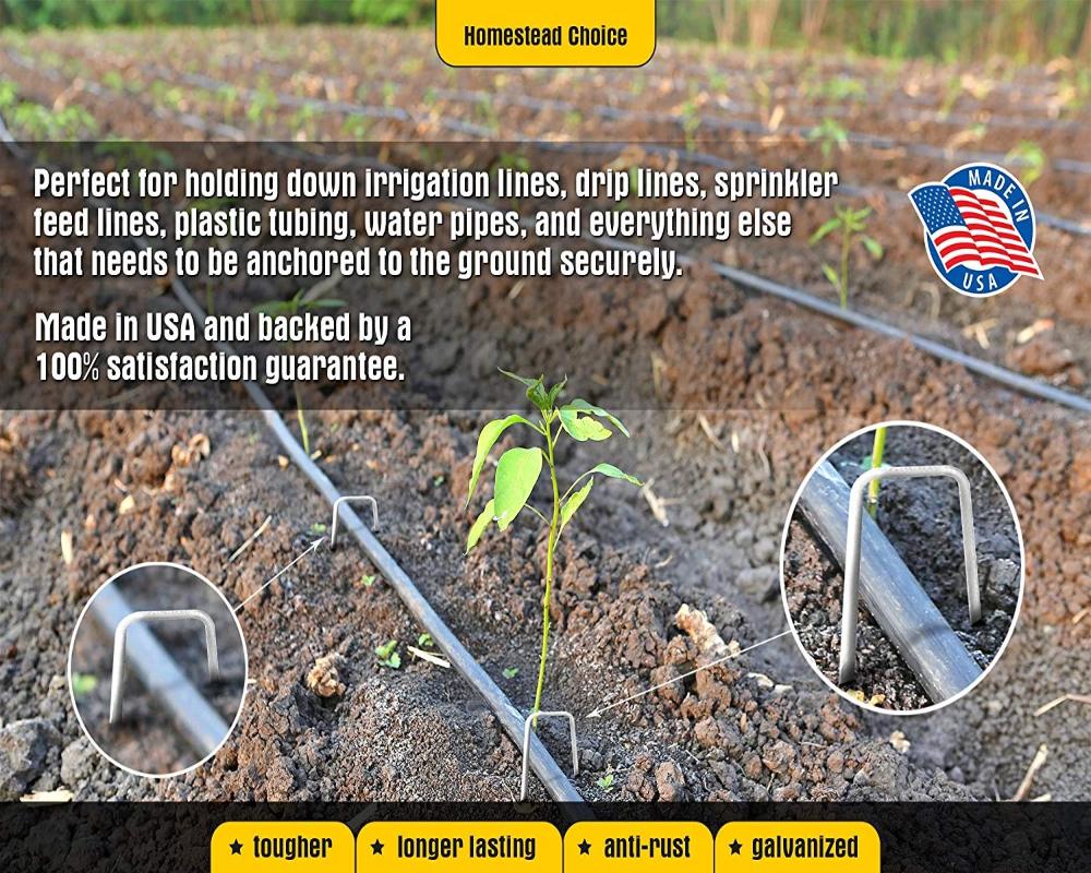 Greenhaus Gardening Galvanized Steel Landscape Sod Staples