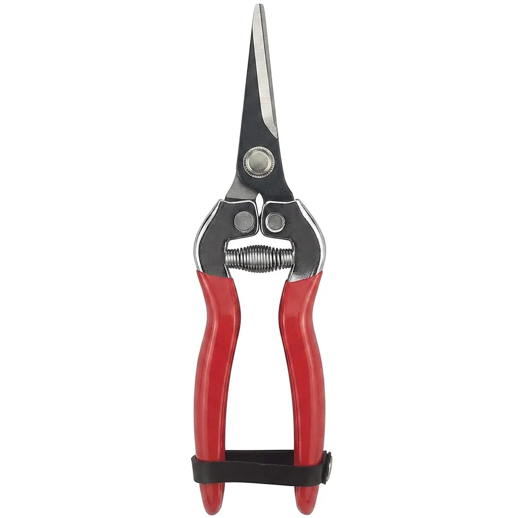 Greenhaus Gardening Floral Trimming Shears for Clean Plant Maintenance and Daily Harvesting