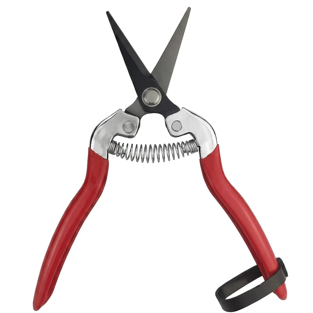 Greenhaus Gardening Floral Trimming Shears for Clean Plant Maintenance and Daily Harvesting