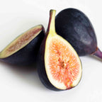 Greenhaus Gardening Fig Tree Low-Maintenance Black Mission Fig Plant