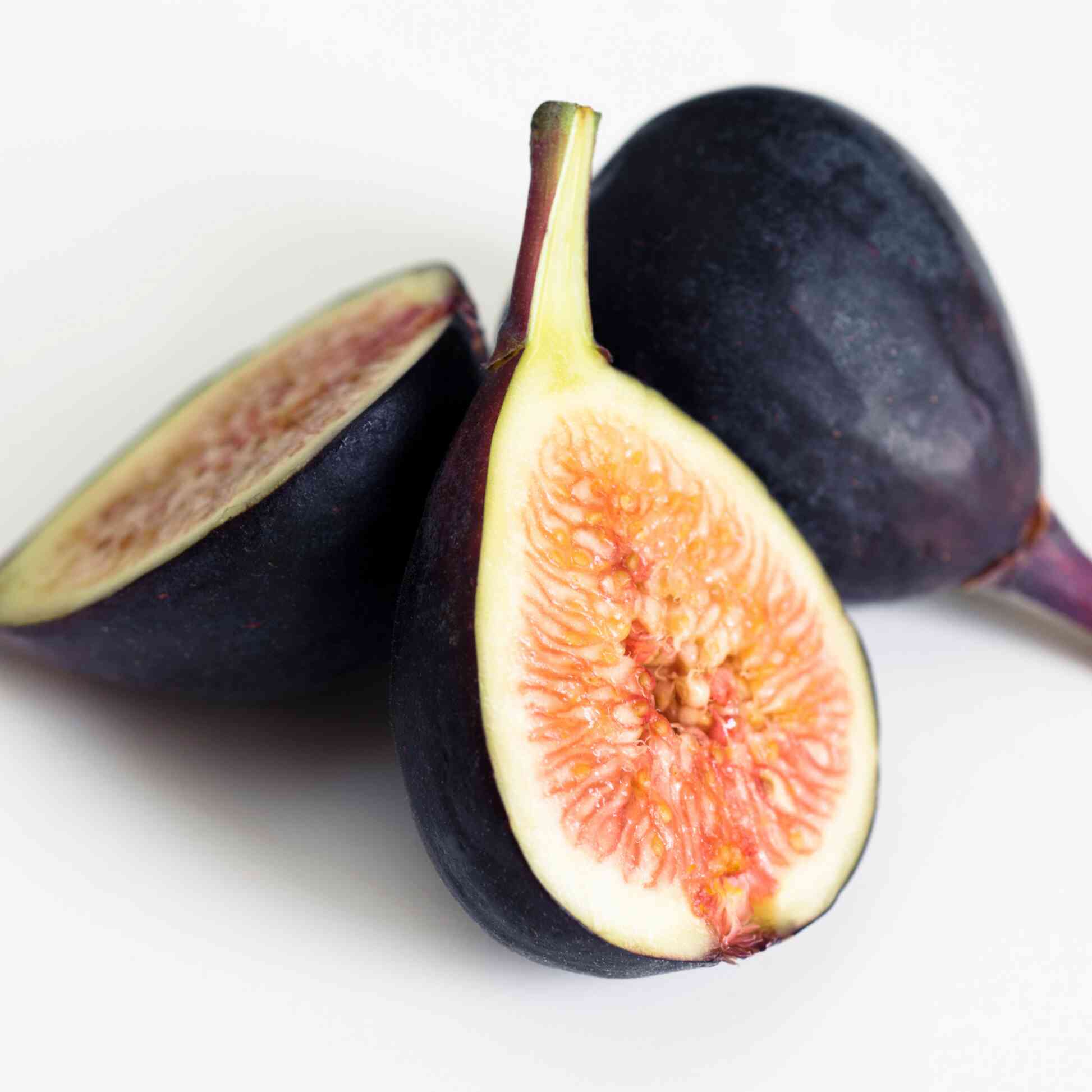 Greenhaus Gardening Fig Tree Low-Maintenance Black Mission Fig Plant