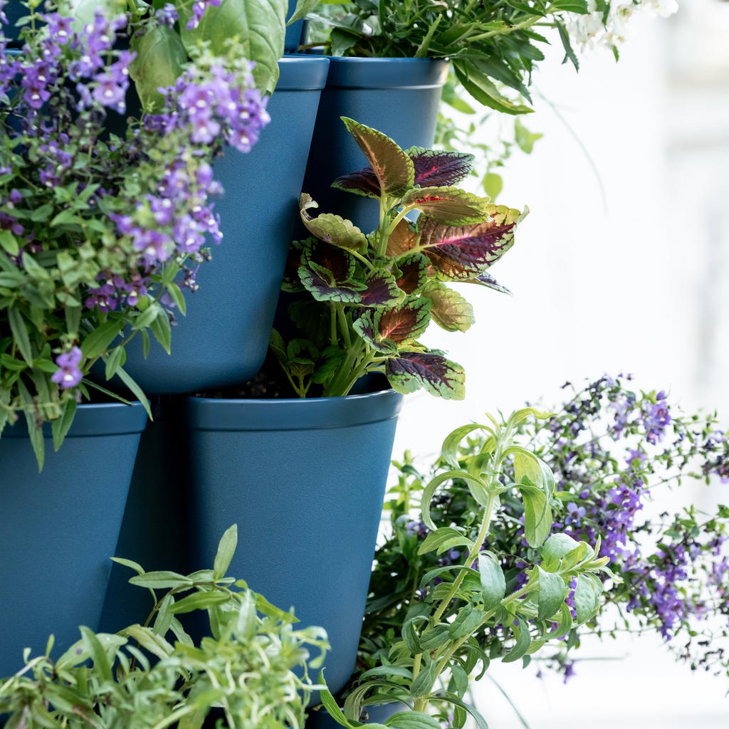 Greenhaus Gardening Vertical Planter 5-Tier Planter for Herbs Greens and Flowers