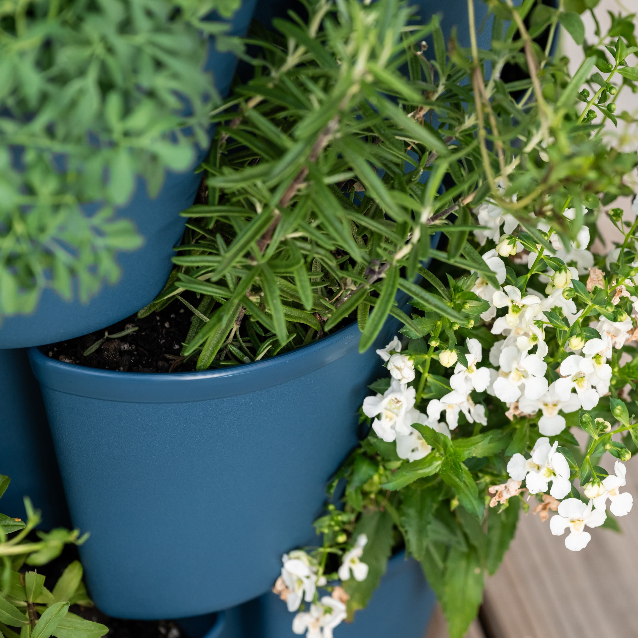 Greenhaus Gardening Vertical Planter 7-Tier Planter for Herbs Vegetables and Flowers