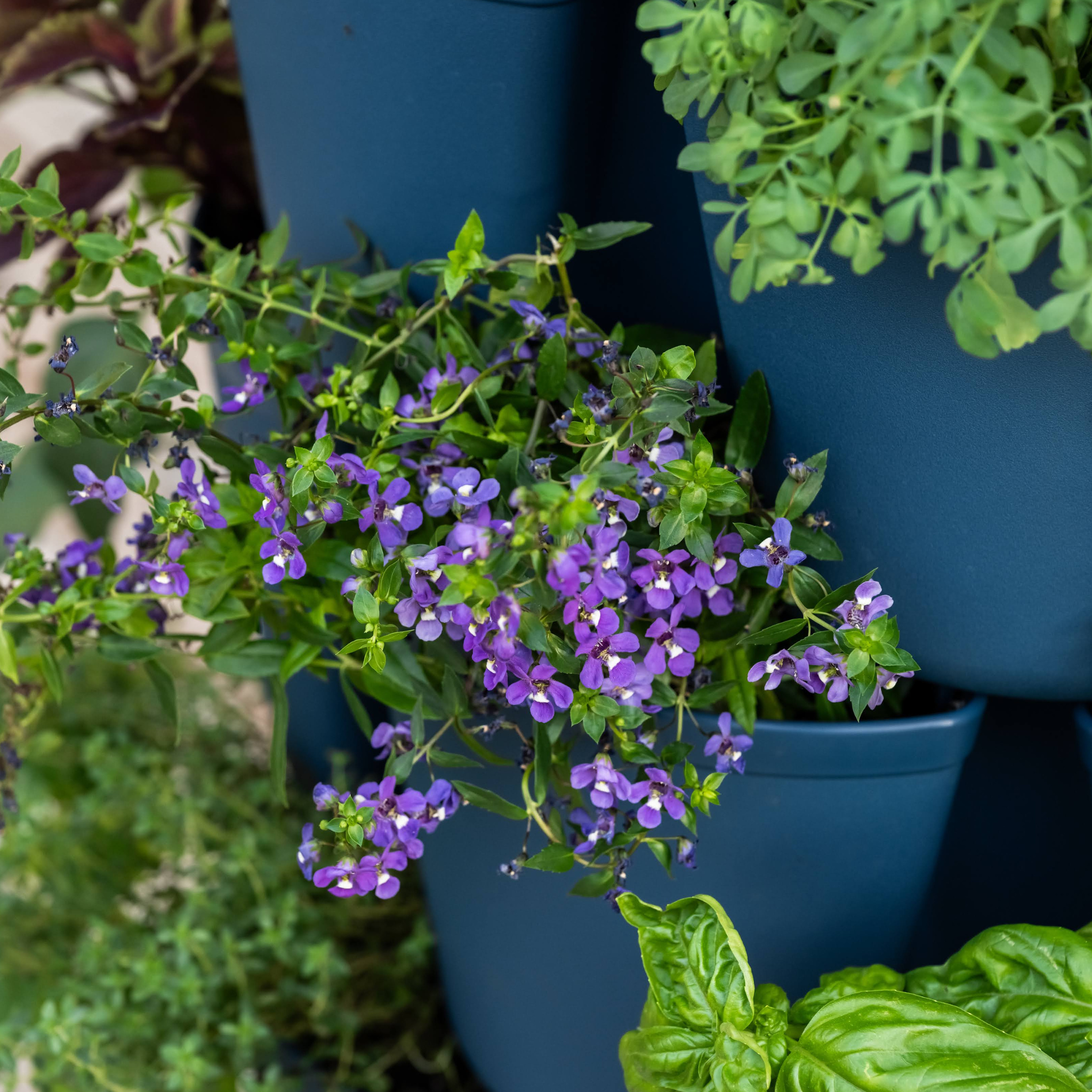 Greenhaus Gardening Vertical Planter 7-Tier Planter for Herbs Vegetables and Flowers