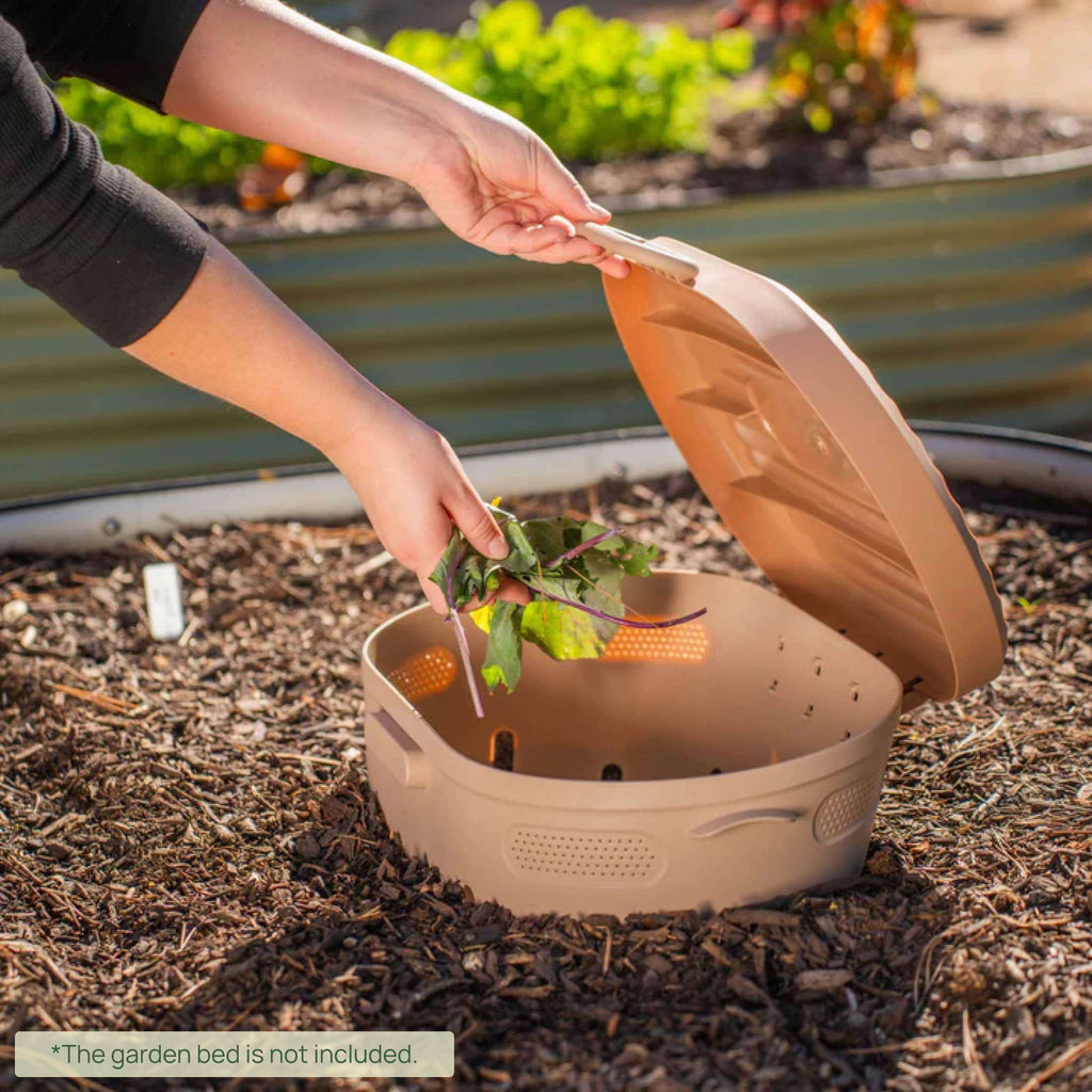 Greenhaus Gardening In-Ground Worm Composter for Garden Beds