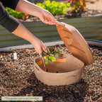 Greenhaus Gardening In-Ground Worm Composter for Garden Beds