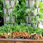 Greenhaus Gardening Vertical Planter 5-Tier Planter for Herbs Greens and Flowers