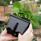 Greenhaus Gardening Seed Starting Trays 4-Cell Deep Tray for Strong Roots
