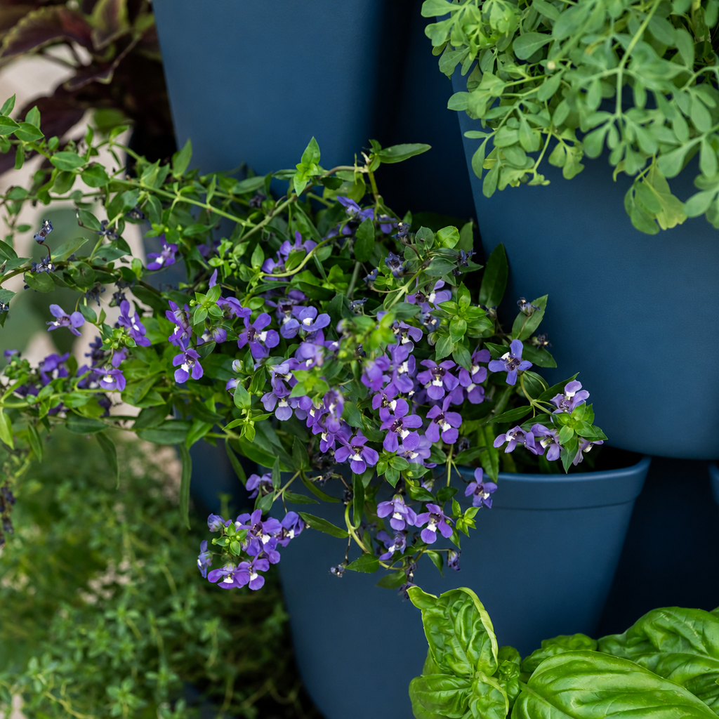 Greenhaus Gardening Vertical Planter 5-Tier Planter for Herbs Greens and Flowers