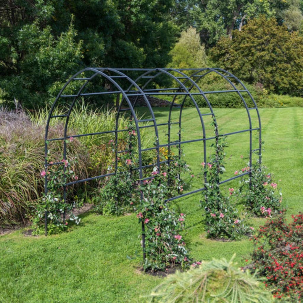 Greenhaus Gardening Garden Arbor, Steel Arch Trellis for Climbing Plants