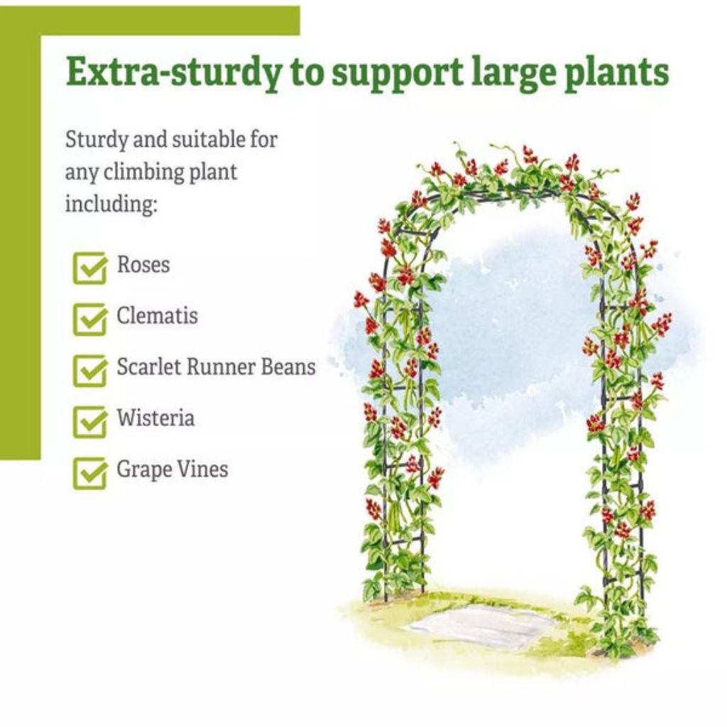 Greenhaus Gardening Garden Arch Support, Weather Resistant Steel Structure