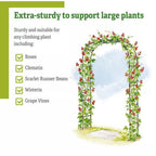 Greenhaus Gardening Garden Arch Support, Weather Resistant Steel Structure