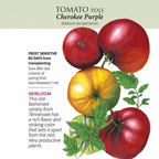 Greenhaus Gardening Tomato Seeds Pole Tomato for Large 10–12 oz Fruits
