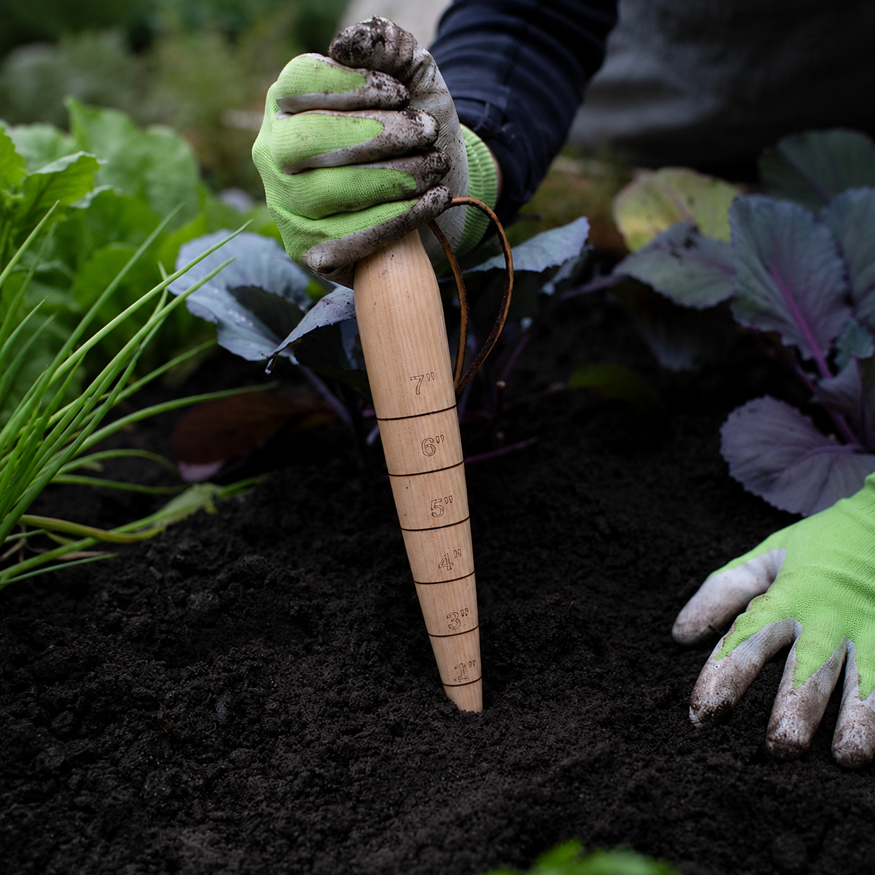 Greenhaus Gardening Brass-Tipped Dibber, Accurate Bulb & Seed Planting Tool