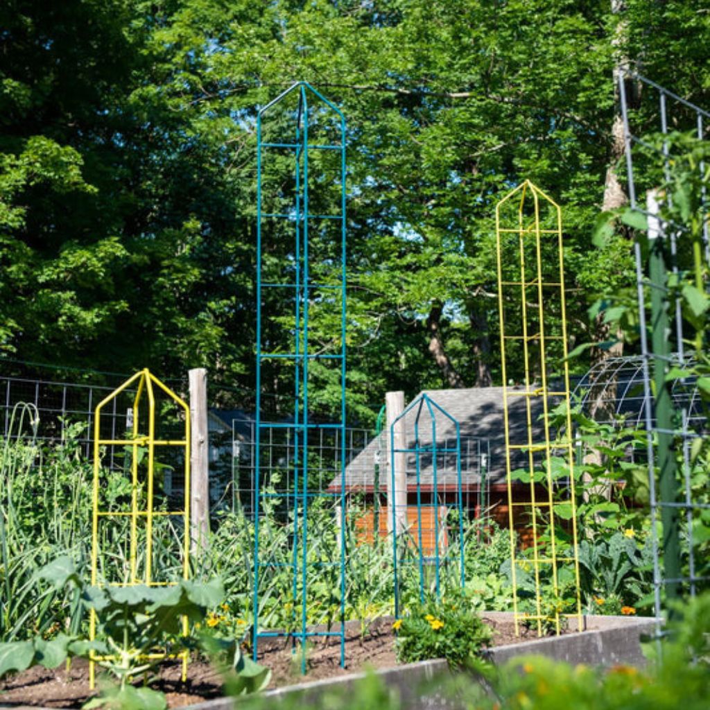Greenhaus Gardening Tomato Towers Set of 2, Heavy Duty Plant Supports