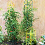 Greenhaus Gardening Tomato Towers Set of 2, Heavy Duty Plant Supports