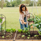 Greenhaus Gardening Tomato Towers Set of 2, Heavy Duty Plant Supports