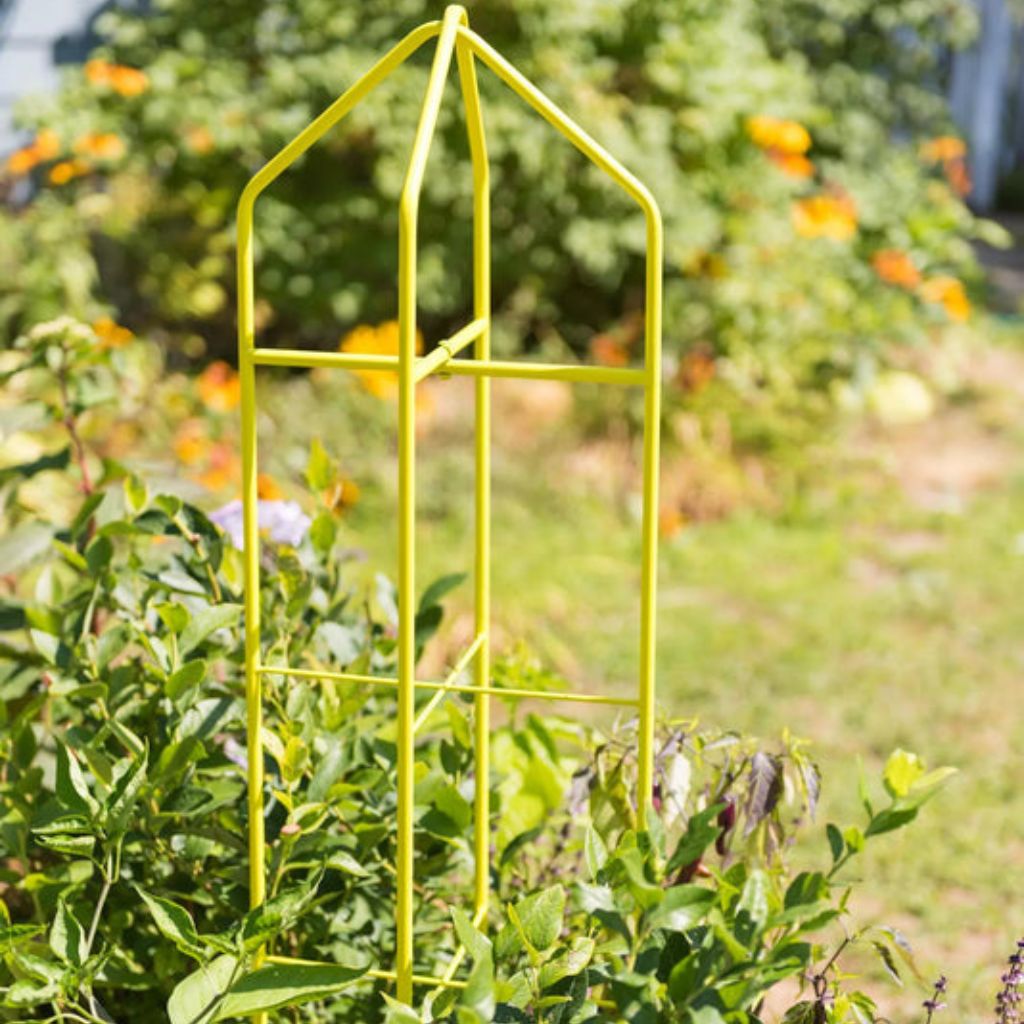 Greenhaus Gardening Tomato Towers Set of 2, Heavy Duty Plant Supports