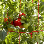Greenhaus Gardening Tomato Cages Set of 4, Weather Resistant Plant Supports