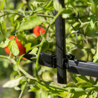 Greenhaus Gardening Tomato Cage Supports Set of 3, Sturdy Steel Construction