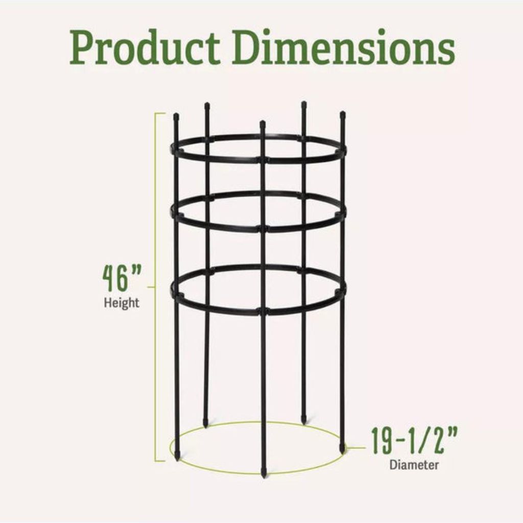Greenhaus Gardening Tomato Cage Supports Set of 3, Sturdy Steel Construction