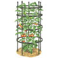 Greenhaus Gardening Tomato Cage Supports Set of 3, Sturdy Steel Construction