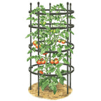 Greenhaus Gardening Tomato Cage Supports Set of 3, Sturdy Steel Construction