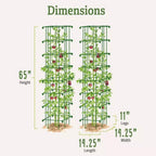 Greenhaus Gardening Tomato Cage Set of 2, Heavy-Duty Plant Support Towers