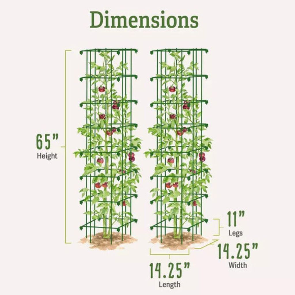 Greenhaus Gardening Tomato Cage Set of 2, Heavy-Duty Plant Support Towers