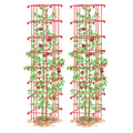 Greenhaus Gardening Tomato Cage Set of 2, Heavy-Duty Plant Support Towers
