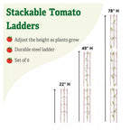 Greenhaus Gardening Modular Tomato Ladder Set of 6, Heavy Duty Plant Supports